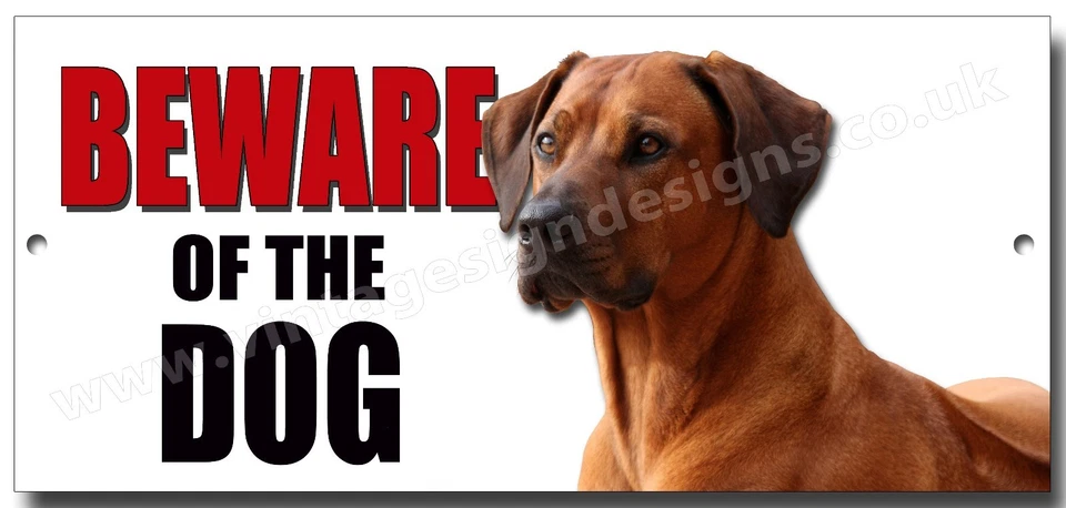 RHODESIAN RIDGEBACK "BEWARE OF THE DOG" METAL SIGN,WARNING,SECURITY SIGN. - Image 1 of 1
