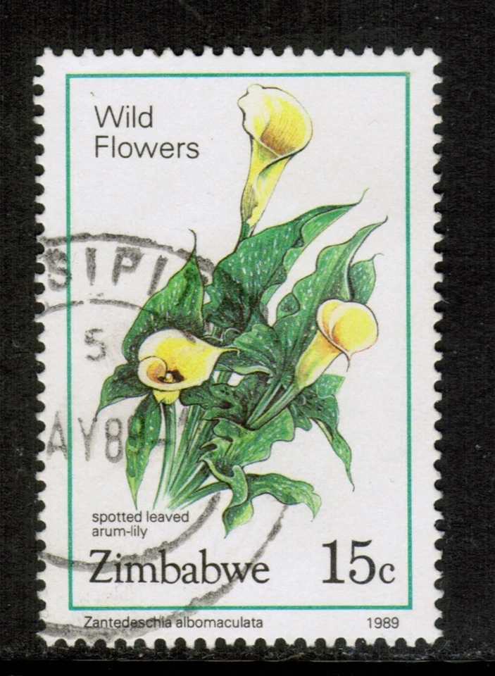 Зимбабве Родезия 1989 SG750 15c пятнистый лиственный арум-лилия дикие цветы б/у - Изображение 1 из 1