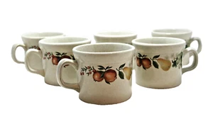 Wedgwood Quince Coffee Cups Made in England Lot of 7 - 2.75" High 3.25" Diameter - Picture 1 of 4