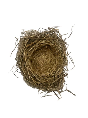 Natural Bird Nests Color Brown Made From Grass And Hair Size Small Shape Round - Image 1 of 4