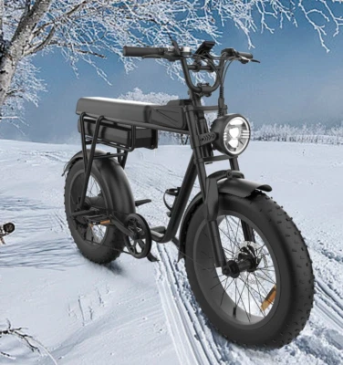 YAMALI 20 ZOLL Mountain Elektrofahrrad 48V 20AH E-Bike 350W Off-Road Fettreifen - Bild 1 von 4