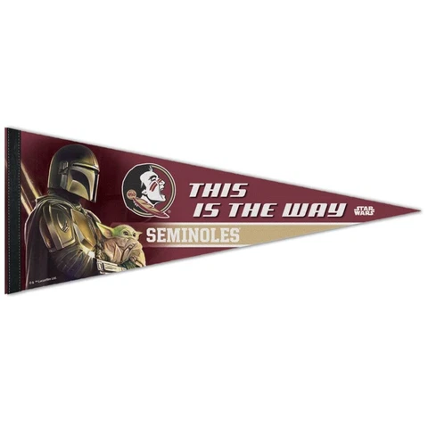 FLORIDA STATE SEMINOLES STAR WARS MANDALORIAN PREMIUM QUALITY PENNANT 12"X30" Cover