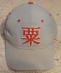 Vintage 1993 Zephyr Ohio State Buckeyes Hat Fitted Cap Size 7 3/8" Grey & Red - Picture 1 of 7