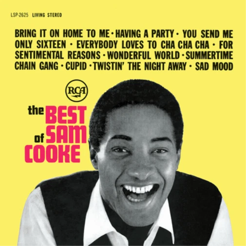 Sam Cooke The Best of Sam Cooke (Vinyl) 12" Album
