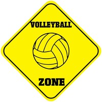 Male Volleyball Players Sports 3D Wall Art Sticker Mural Decal Poster GD8