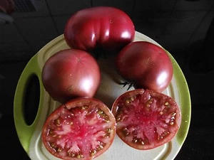 Semillas de frambuesa de Silesia hasta 500 gr. peso frutal semillas RAREZA tomates - Imagen 1 de 1