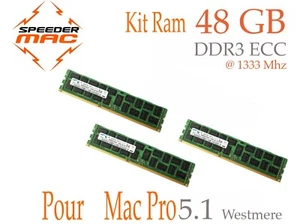  Kit Mémoire 48 GB (3x 16GB) DDR3 ECC 1333MHz Apple Mac Pro 2010/ 2012 5,1 - Imagen 1 de 2