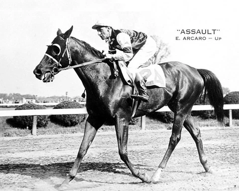 1946 Triple Crown Racehorse ASSAULT Glossy 8x10 Photo Thoroughbred Print Poster Cover
