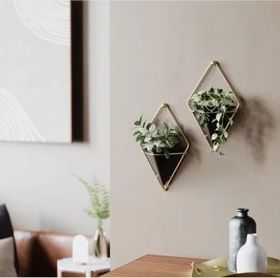 Wandvase für Pflanze Blumenhalter - Bild 1 von 4