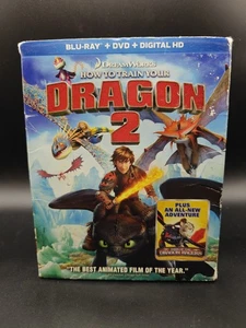 How to Train Your Dragon 2 (DVD, Blu-ray, 2014, 2-Disc Set) Jay Baruchel - Picture 1 of 6
