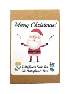 10 Father Xmas Santa Birthday Party Wildflower Seed Packs Favours Party Bags B10 - Picture 1 of 4