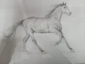 Autism Awareness Week Art Auction Detailed Pencil sketch of February Horse - Picture 1 of 6
