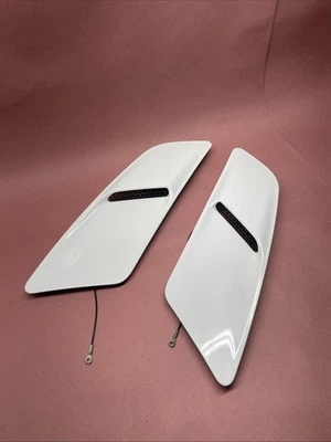 Ford Mustang GT 2015-2017 capó inserción ventilaciones diestro izquierdo par blanco *leer descripción* OEM Foto 1 de 4