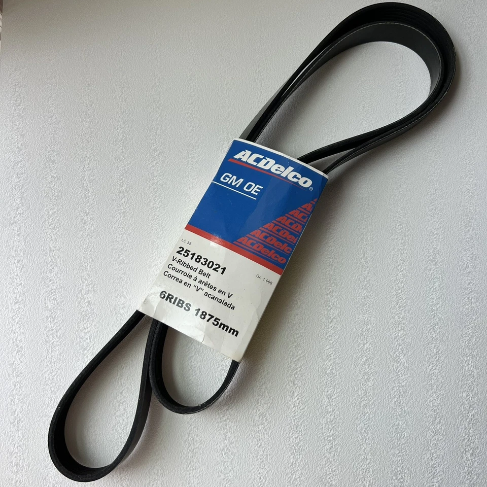 04-11 Chevrolet Aveo 10 PONTIAC G3 Serpentine Correa de ventilador de transmisión 25183021 NUEVO OEM Foto 1 de 4