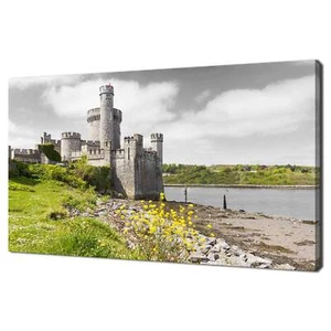 Blackrock Castle In Cork Ireland Canvas Print Picture Wall Art Home Decor - Picture 1 of 7