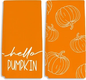 Orange Hello Pumpkin Herbst Geschirrtücher 16x24 Zoll 2er Set - Bild 1 von 6