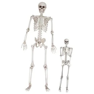 Life Size Skeleton Halloween Decoration Value 2 Pack -Adult (5' 4") & Child - Picture 1 of 7