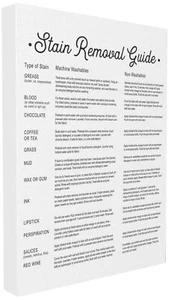 Stupell Industries Stain Removal Guide v2 Stretched Canvas Wall Art, Proudly ... - Picture 1 of 5