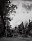 1968 Vintage Ansel Adams Print Landscape Yosemite Valley Winter Sunrise 12x14