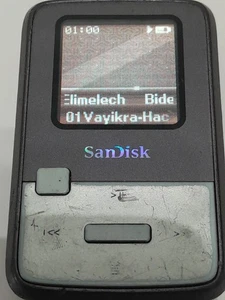 Reproductor MP3 SanDisk Sansa Clip Zip - Funciona - Gris  - Imagen 1 de 11