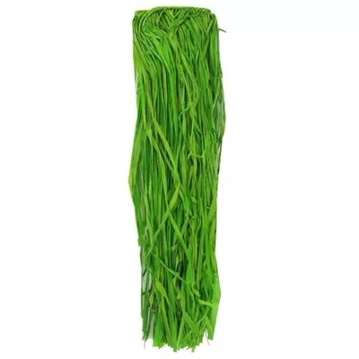 Brother Sister Design Adulto Hula Falda Rafia Luau Fiesta Suministro Verde 36” X 29” Foto 1 de 4