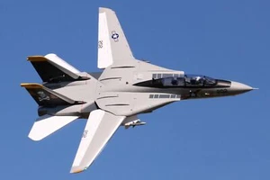 RC Airplane Aircraft Jet Fighter Warbird Freewing F-14 Tomcat Twin 64mm EDF PNP - Picture 1 of 10