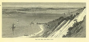 SHELTER ISLAND, View from White Hill, Long Island, NY by Harry Fenn 1872 antique - Picture 1 of 1