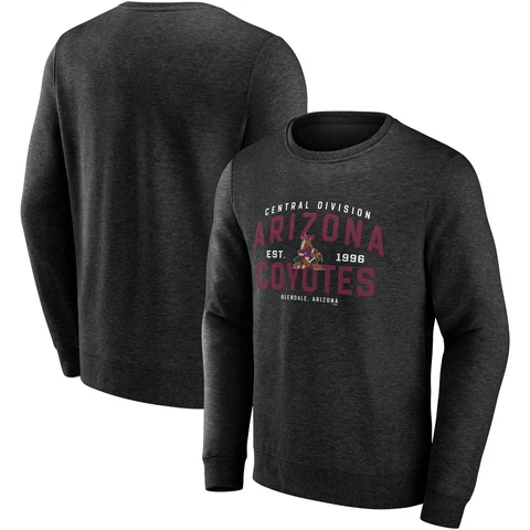 Men's Fanatics Branded Black Arizona Coyotes Classic Move Pullover Sweatshirt Cover