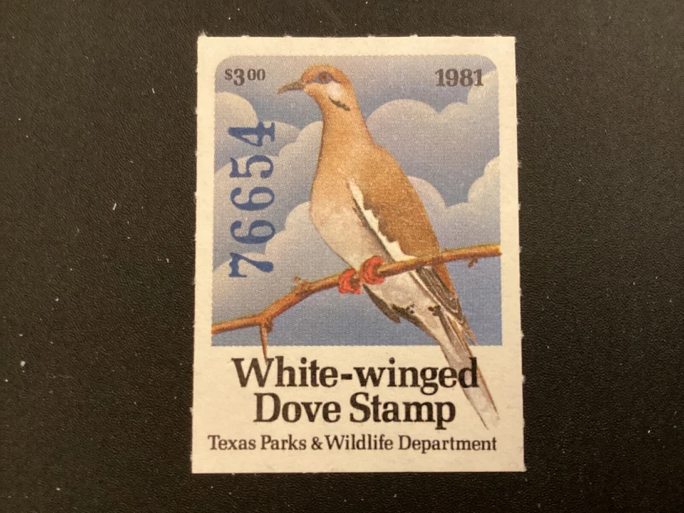 ICOLLECTZONE US Texas 1981 White Winged Dove Hunting VF NH birds - Image 1 of 2