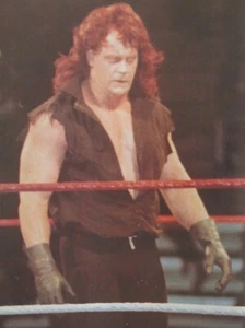 WWF WRESTLING FROM MADISON SQUARE GARDEN 7-11-91 PRO WRESTLING DVD (W-1562) - Bild 1 von 1