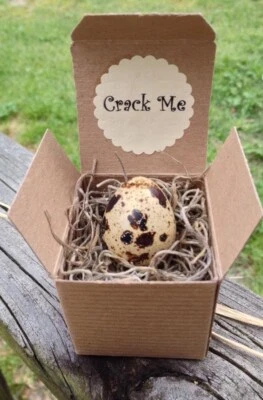 Crack Me! Pregnancy Announcement Quail Egg - The Special Note Is In The Egg! - Image 1 of 4