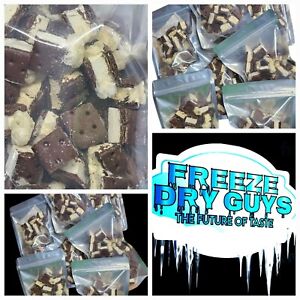 Freeze Dried Ice Cream Sandwich Bites 3 oz Pack "Freeze Dry Guys" Made Fresh New