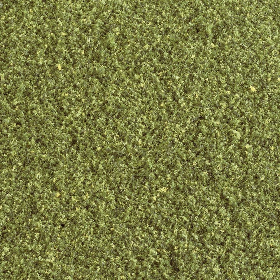 Flocage prairie Woodland Scenics WT49 prairie 1 pc(s) - Photo 1/2