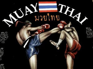 Classic MUAY THAI KICK art of eight limbs THAI BOXING Sleeveless Muscle Men’s L - Picture 1 of 11