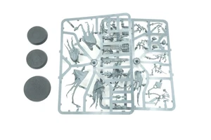 Spirit Torment and Chainghasts [x3] Nighthaunt [Age of Sigmar] On Sprue - Imagen 1 de 3