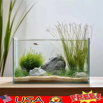 Acuario de vidrio sin marco de 3 galones fácil mantenimiento Betta Goldfish Tank con tapete EE. UU. Foto 1 de 4