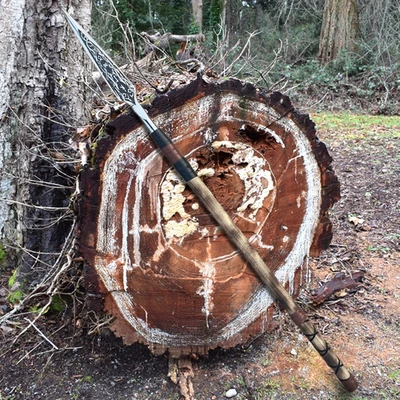 Lanza estilo vikingo forjada a mano | Cabeza de acero grabada y eje de madera de fresno | Idea de regalo Foto 1 de 4