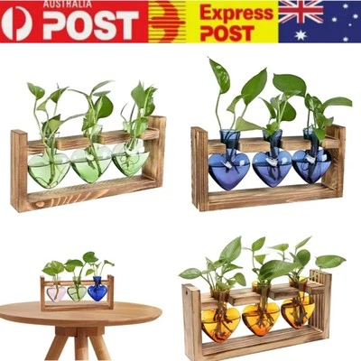 Plant Propagation Station Love Heart Glass Vase w/Wooden Stand Hydroponic - image 1 of 4