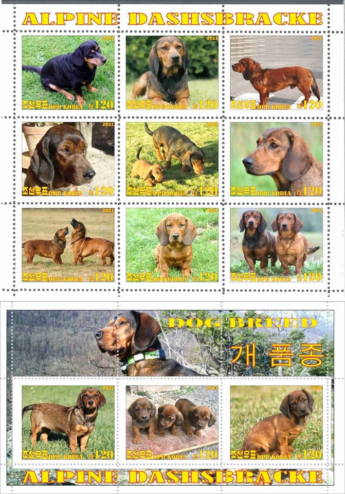 Stamp sheet+block Alpine Dashsbracke 2021 Korea issue Dogs - Image 1 of 1