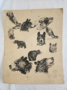 BEAR SKETCHES ON PAPERBOARD 1935ca, UNATTRIBUTED BY LIKELY PAUL BRANSOM! 15"x12" - Picture 1 of 12