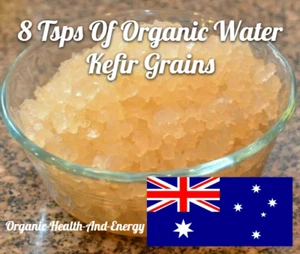 8 Tsp Of Premium Water Kefir Grains - SUPER ACTIVE & FRESH - FREE FAST Shipping! - Picture 1 of 8
