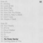 Sylvan Esso No Rules Sandy Vinyl