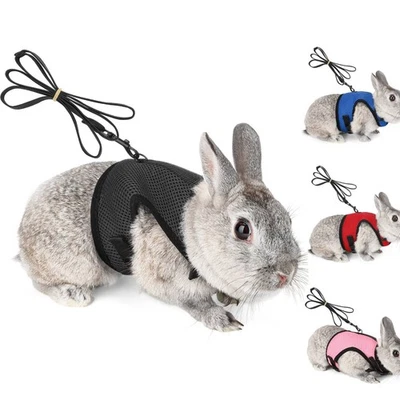 Arnês macio coelho com coleira longa ajustável gatinho pequeno animal de estimação malha chumbo - Imagem 1 de 4
