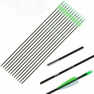 12Pcs 30 Inch Fiberglass Archery Target Arrows SP700 OD6mm for Practice Hunting - Picture 1 of 14