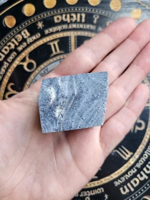 Blue Coral Freeform Natural Coral Perfect Size For Meditation - Image 1 of 4