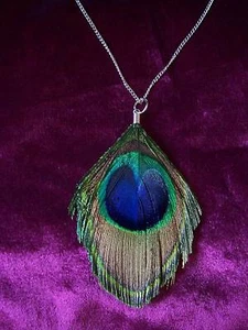 Collar de pluma de pavo real genuino recortado en cadena de 18 - Imagen 1 de 1