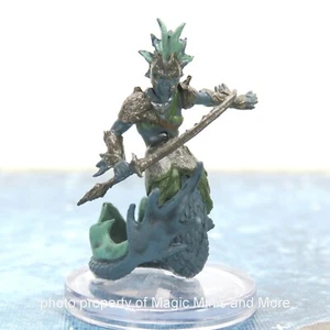 Seas & Shores ~ MERFOLK SCOUT #19 D&D Icons of the Realms miniature - Picture 1 of 3