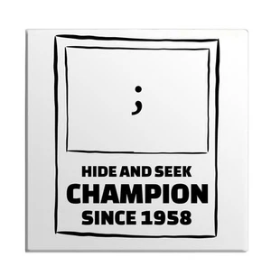 Calamita frigo computer codice programmatore linguaggio programmazione semi colon - Foto 1 di 7