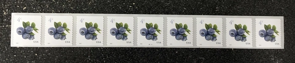 2022USA #5653 4c Blueberries - Plate Number Coil Strip of 9  PNC  Mint  #B111111 - Image 1 of 1