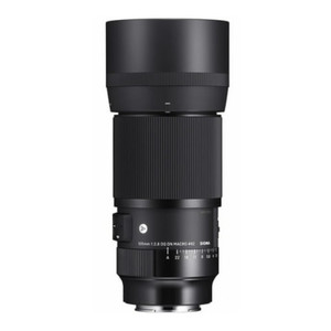 Sigma 105mm f/2.8 Art DG DN Macro Lens for Sony E-Mount
